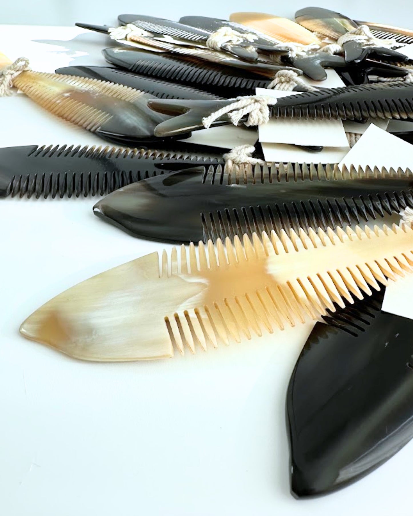 horn fish comb