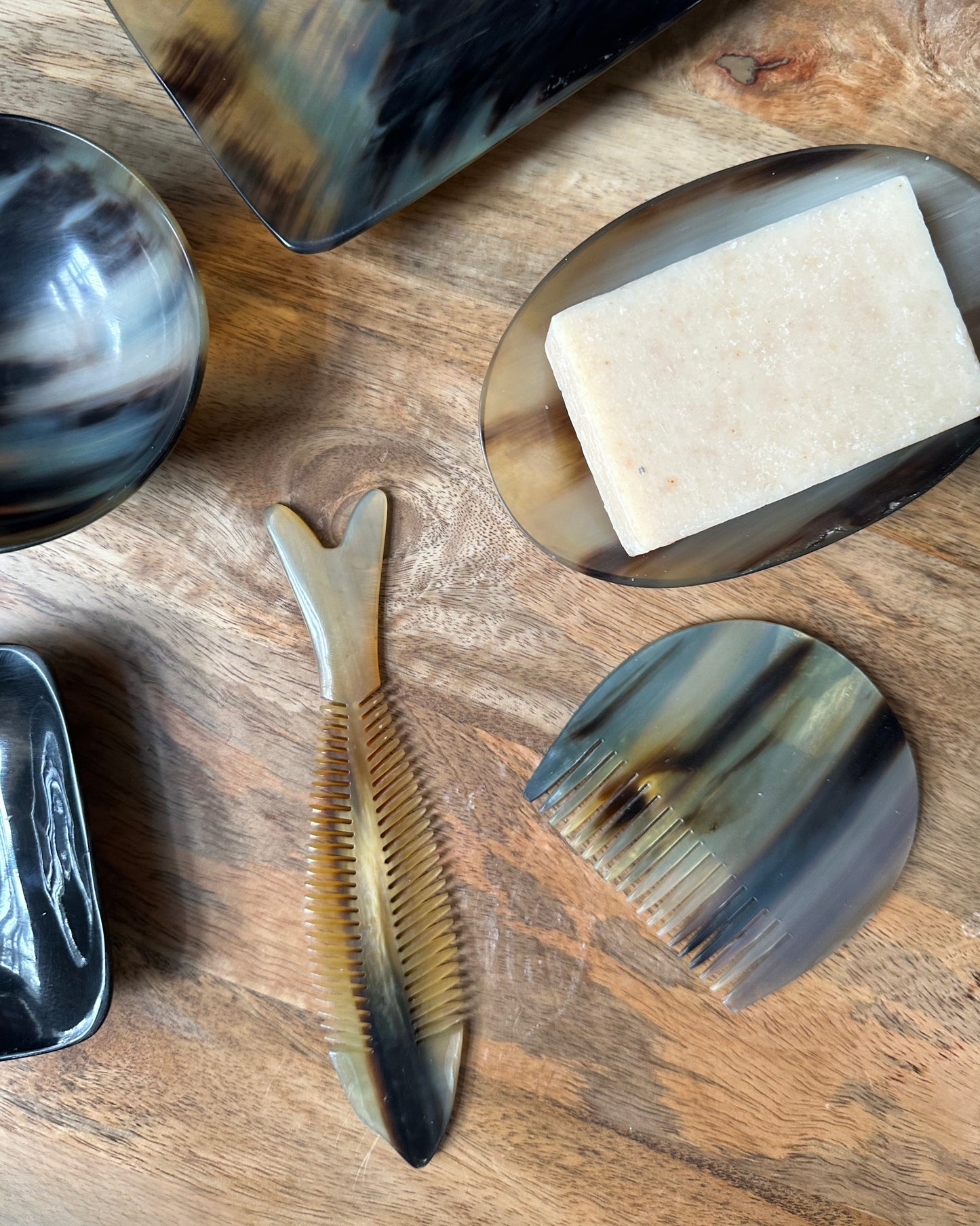 horn fish comb