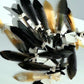horn fish comb
