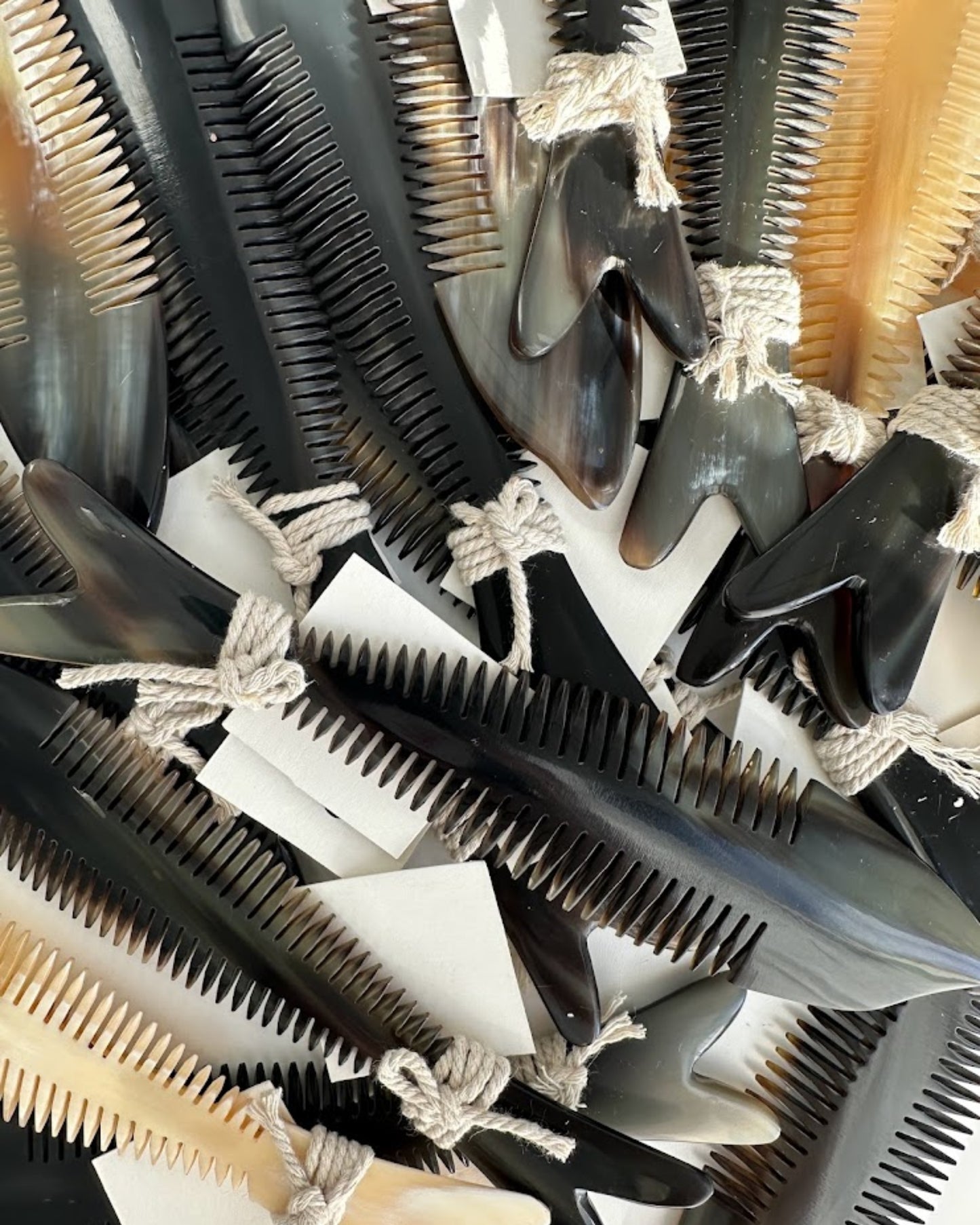 horn fish comb