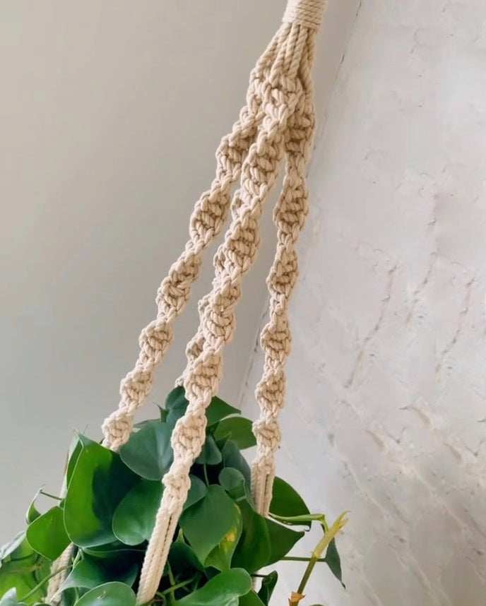 trina macrame plant hanger