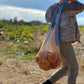 the french market bag two tone