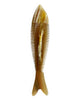 horn fish comb