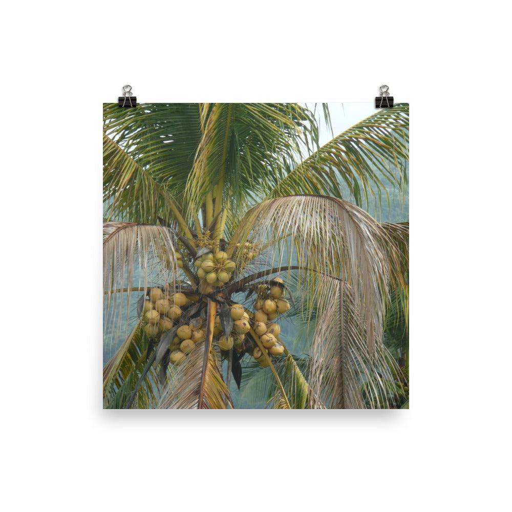 PILLOWPIA el yunque 10″ × 10″