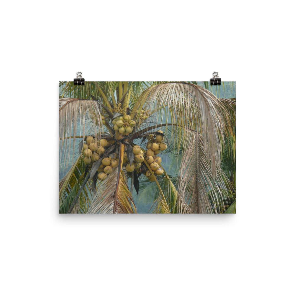 PILLOWPIA el yunque 16" x 12"