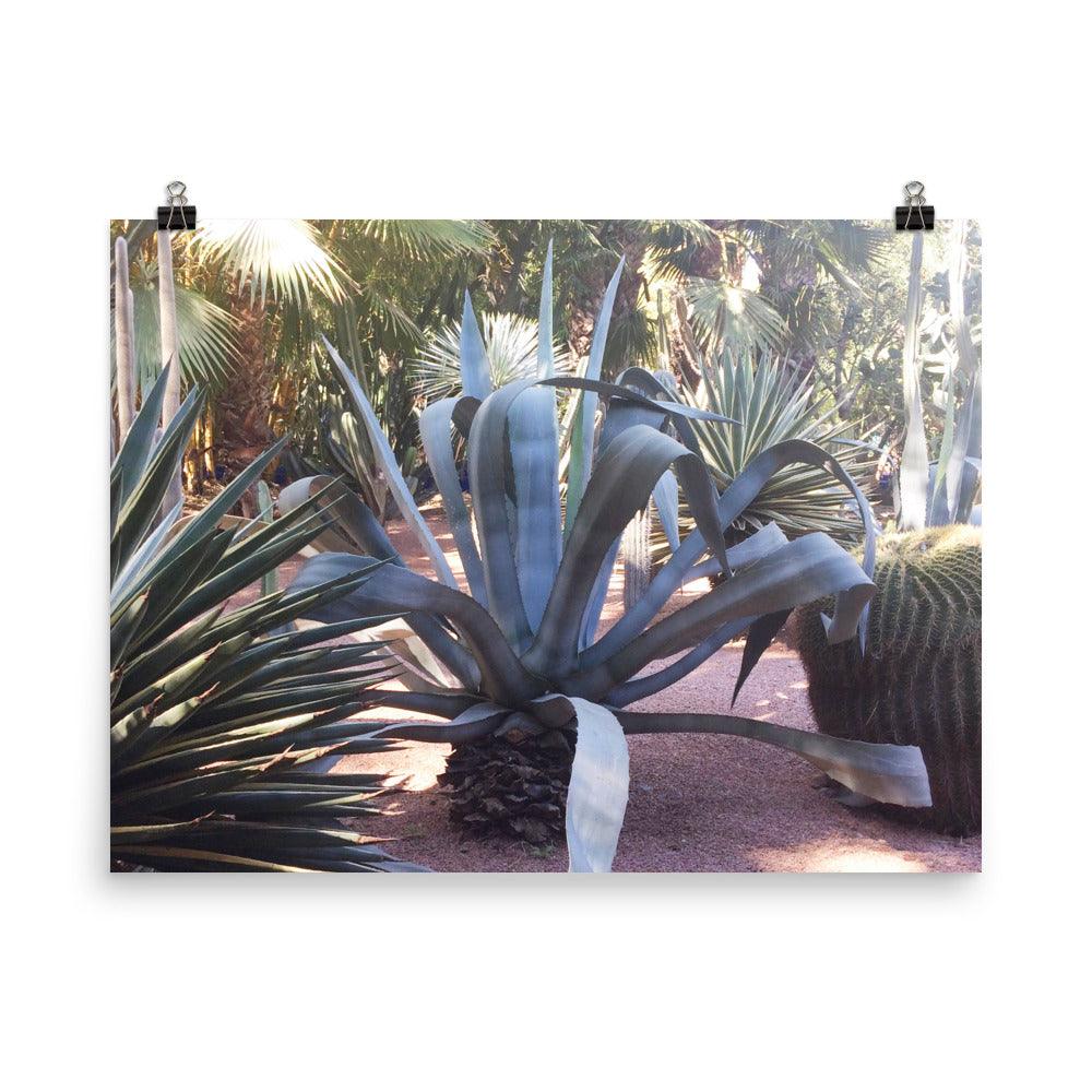 PILLOWPIA cactus majorelle 24" x 18"