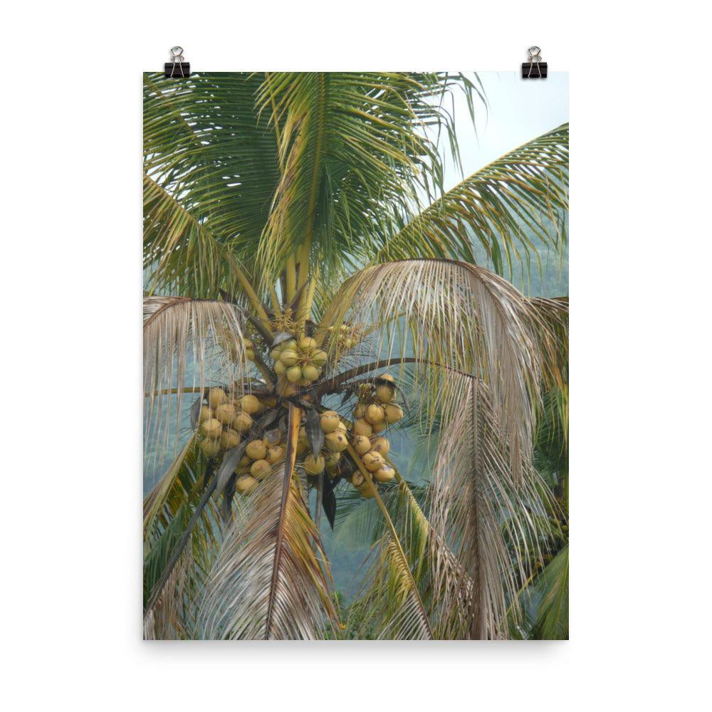 PILLOWPIA el yunque 18" x 24"